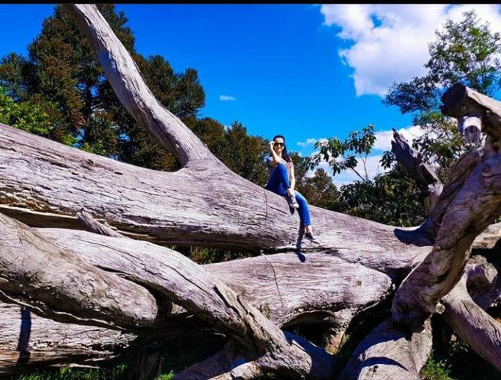 Refugio Do Lago ラジェス エクステリア 写真